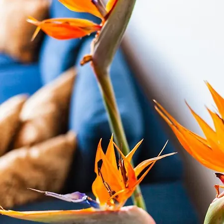 Appartement Flyviewflatsgold Privatehottub With Seaview Ixia (Rhodes)